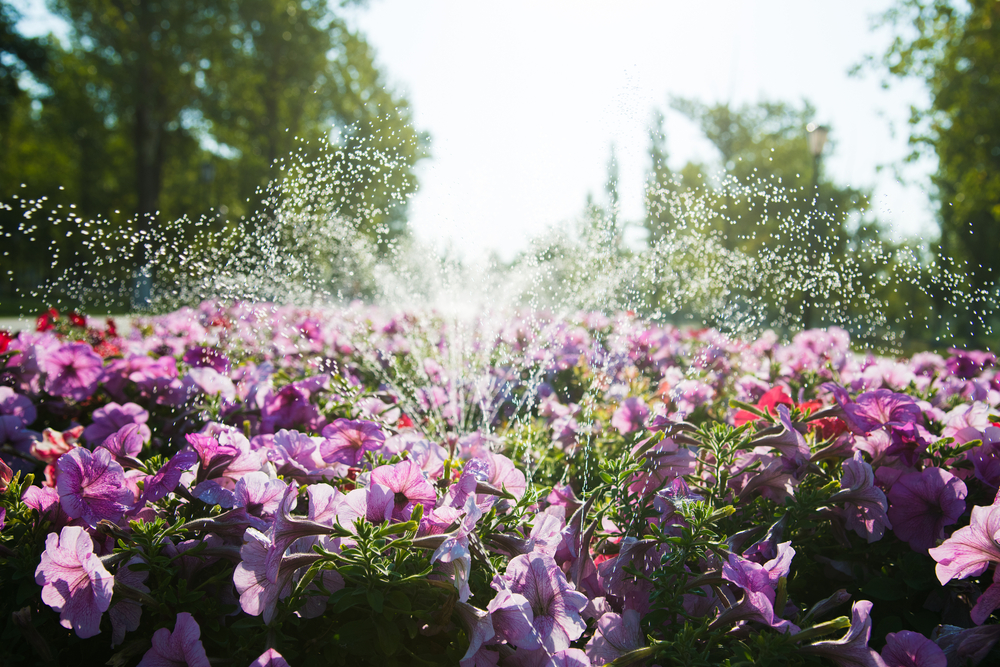 environnement entretien parcs et jardins municipaux