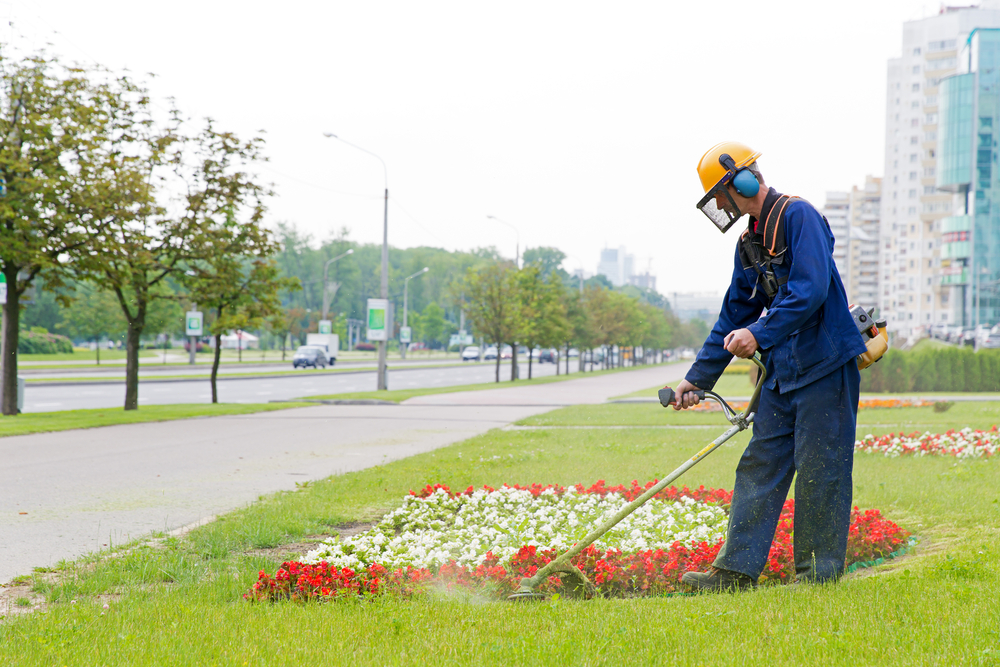 professionnel prestations jardinage