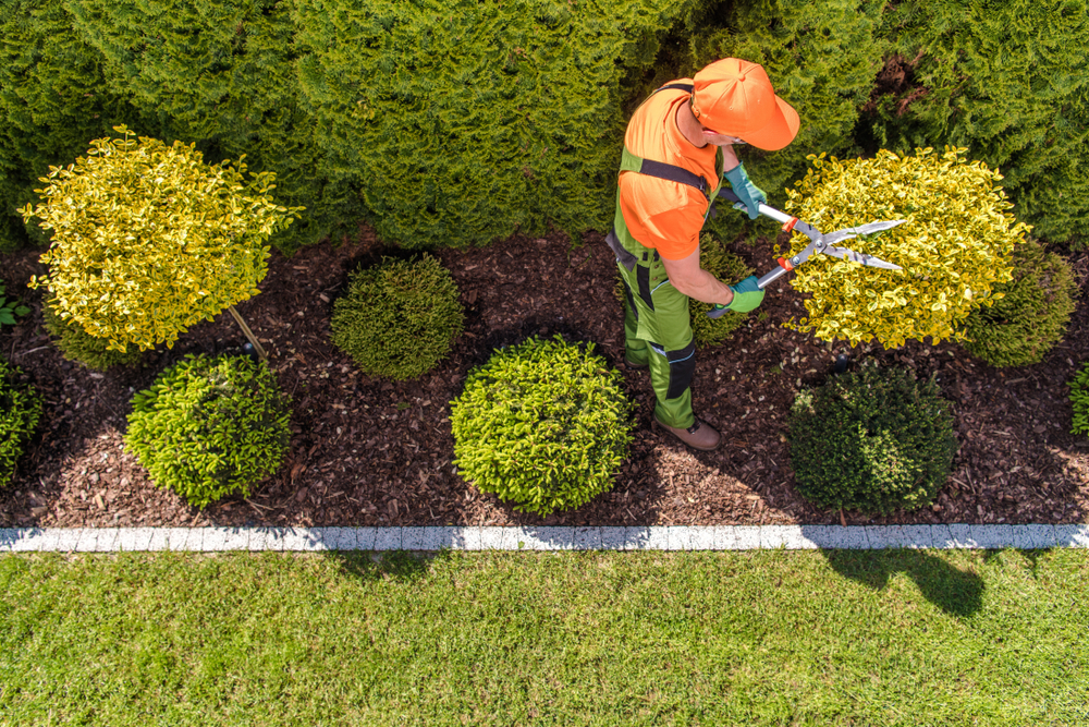 Nettoyage & Entretien du Jardin